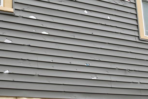 Best Storm Damage Siding Repair  in Merrydale, LA